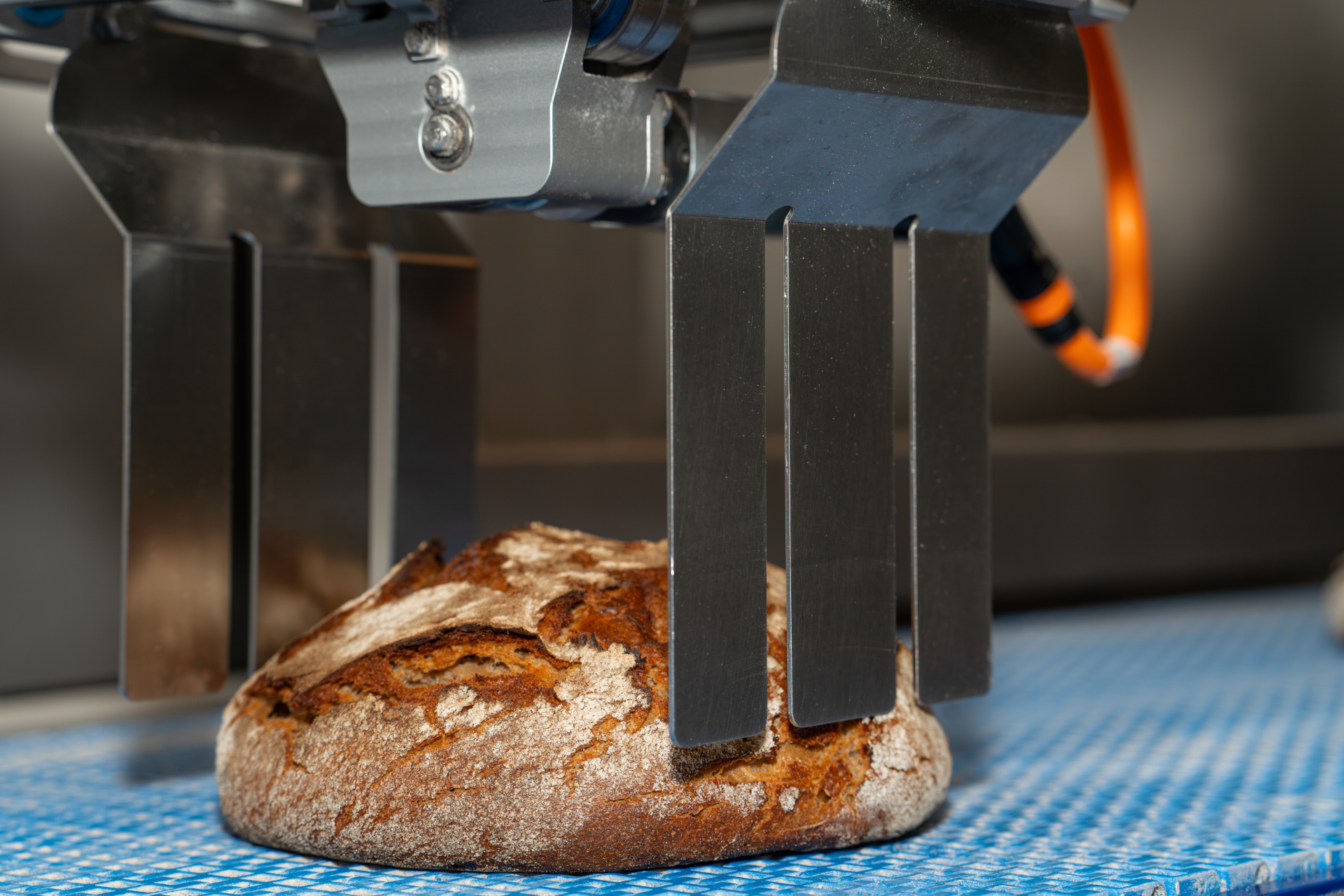 Robot handling different bread shapes with an adaptive stainless-steel gripper in Hygienic Design